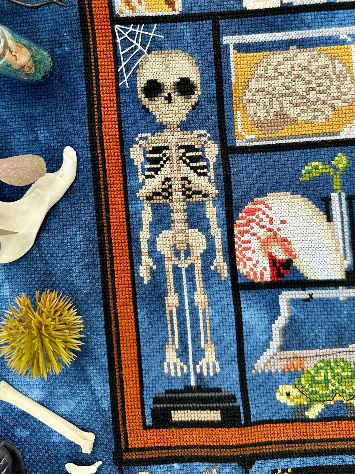 Morbid Curiosities SAL Cabinet of Curiosities Stitch-A-Long