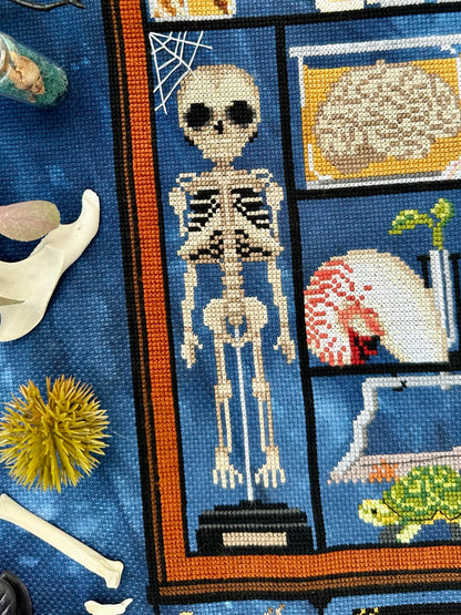 Morbid Curiosities SAL Cabinet of Curiosities Stitch-A-Long