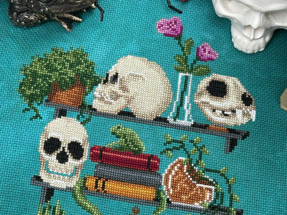 A Study of Skulls SAL