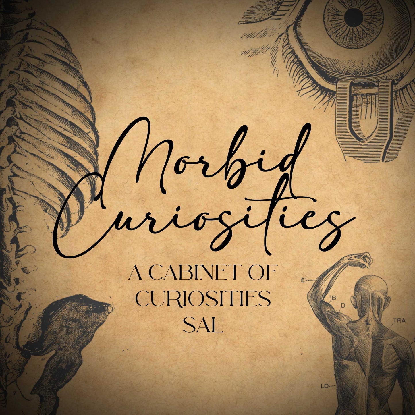Morbid Curiosities SAL Cabinet of Curiosities Stitch-A-Long