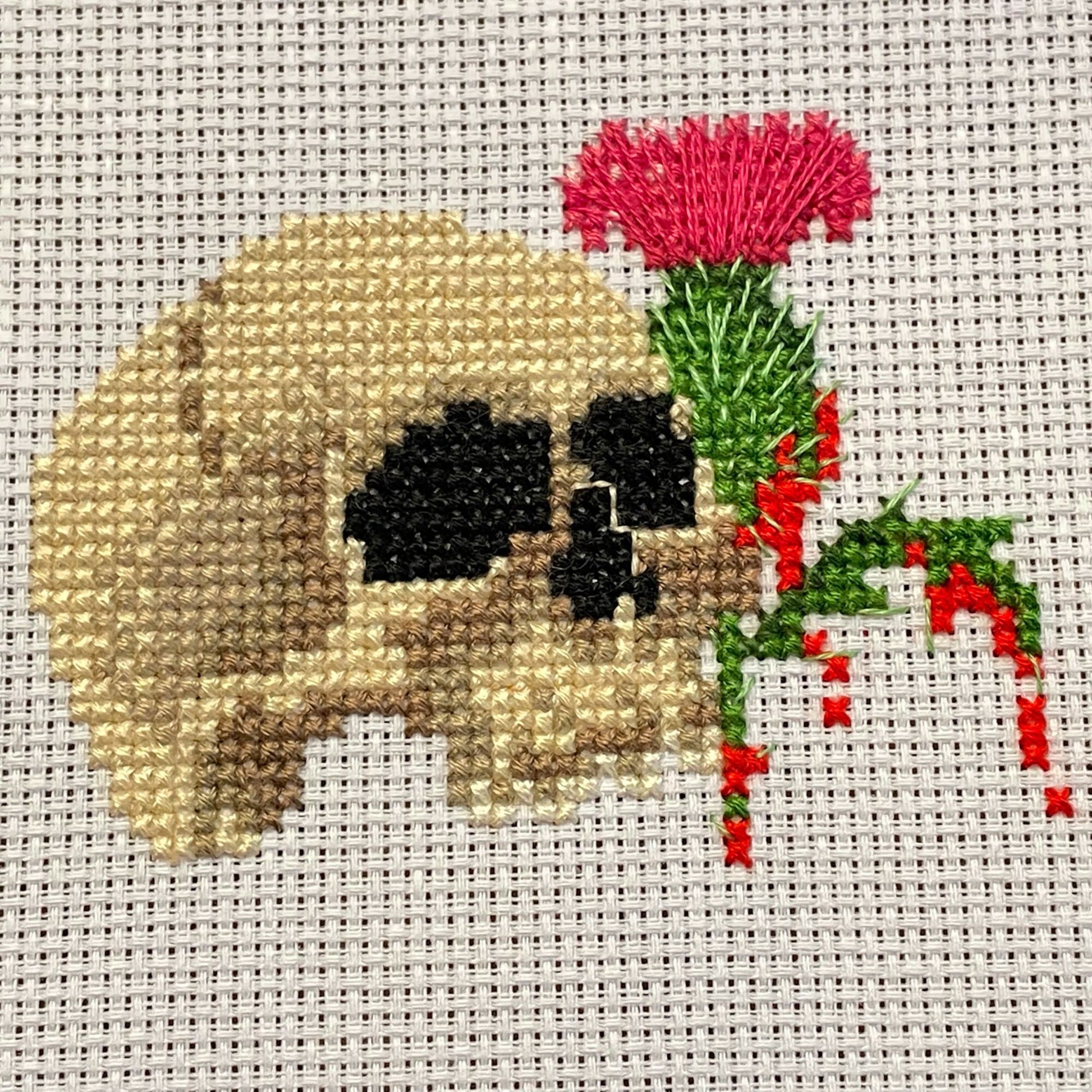 Cross stitch Skull with a bleeding thistle